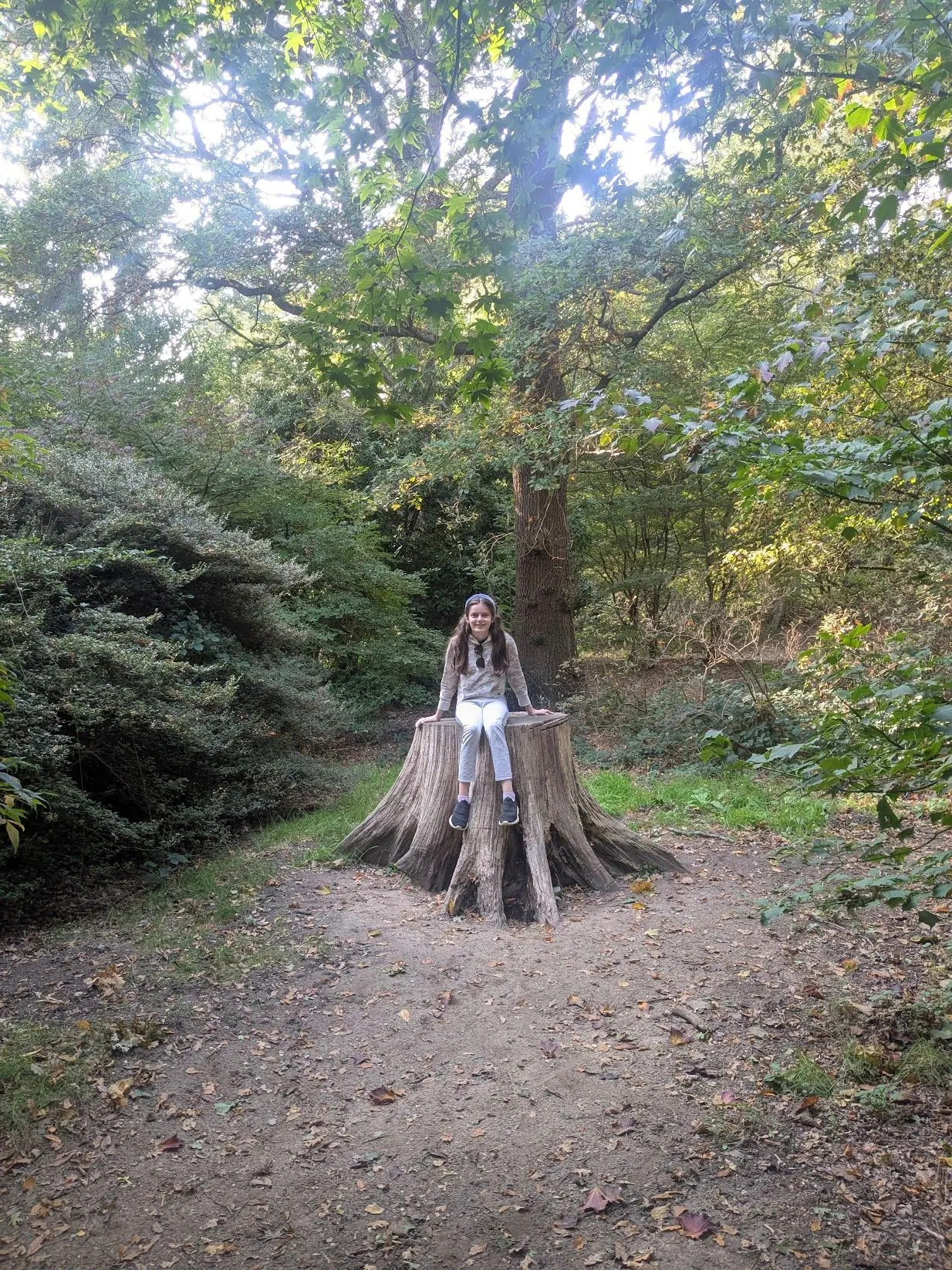 A quiet woodland outing